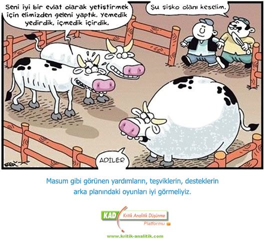 116-1.jpg