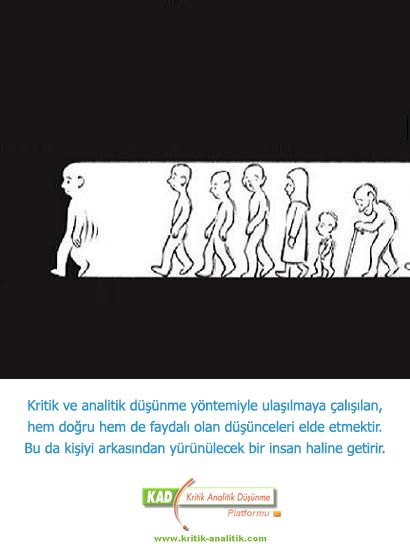 173-1.jpg