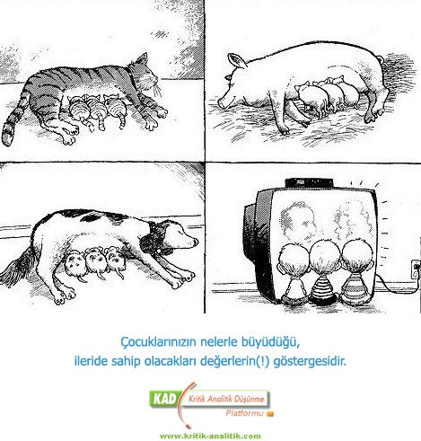 175-1.jpg