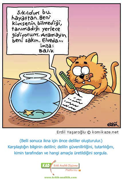 211-1.jpg