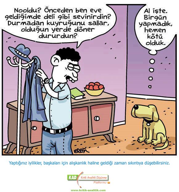 248-1.jpg