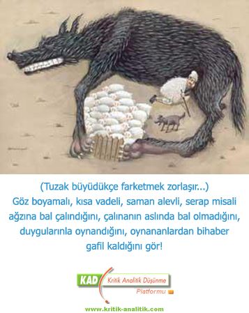76-1.jpg