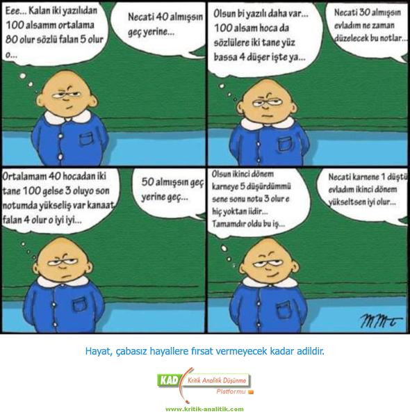 86-1.jpg